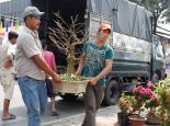 Đắk Lắk: Phát hiện 14 cơ sở sản xuất, kinh doanh cây giống trái phép