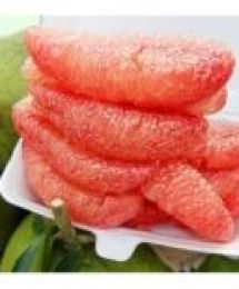 GIỐNG CÂY TRỒNG BƯỞI ĐỎ TÂN LẠC